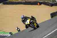 Middle 1 Group Yellow Bikes